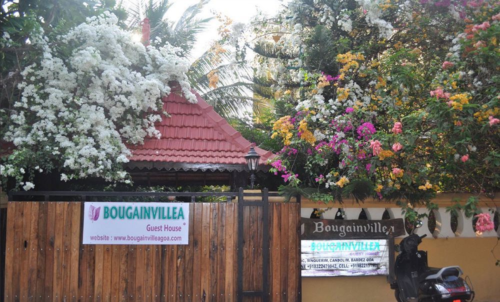 Bougainvillea Guest House Candolim Exterior foto